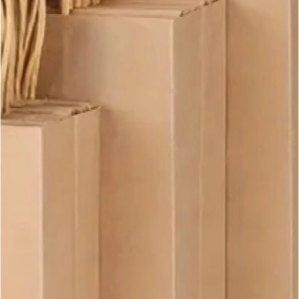 Brown Paper Gift Bags, 25, Kraft Bags, 10” tall